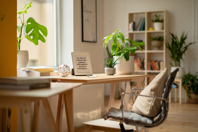 Фэншуй рабочего стола как секрет к успеху и гармонии