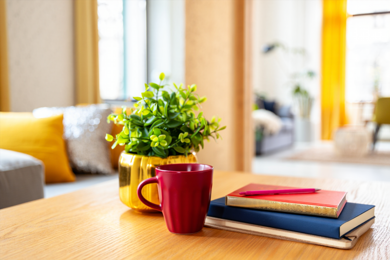 Цвета удачи в 2025 году как выбрать гармоничные оттенки